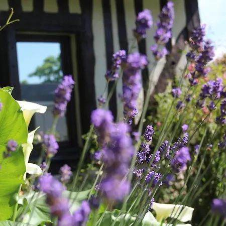 Gites La Conterie Holiday home Fatouville-Grestain